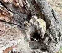 蚊里田八幡宮(長野県)