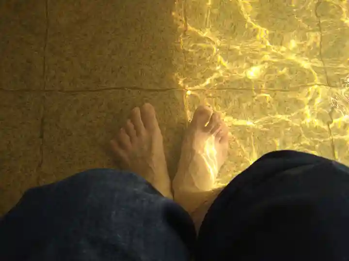 來宮神社(静岡県)