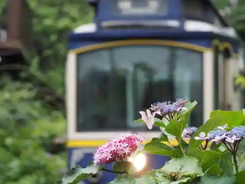 御霊神社の自然
