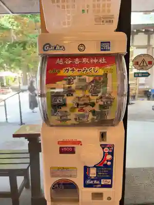 越谷香取神社のおみくじ