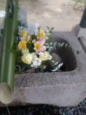 木華佐久耶比咩神社の手水舎