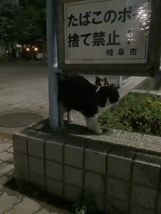 溝旗神社(肇國神社)の動物