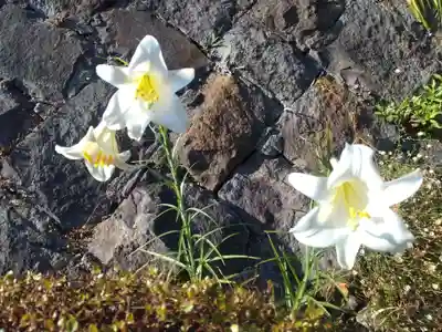 高養寺(神奈川県)