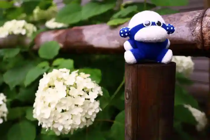 白山神社(東京都)