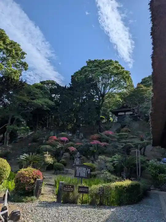 龍華寺(静岡県)