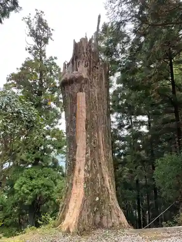 太龍寺(徳島県)