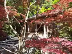 柴神社(福井県)