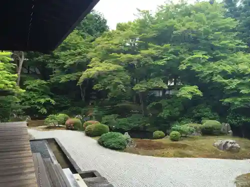 御寺 泉涌寺の庭園