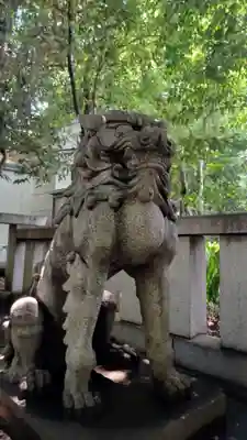 渋谷氷川神社の狛犬