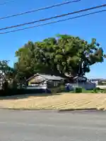 玉田神社の周辺