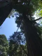 吉部八幡宮の建物その他