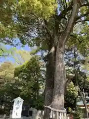 玉村八幡宮の庭園