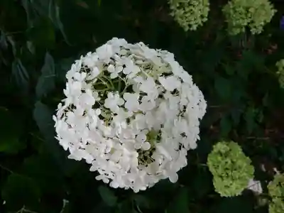 西野神社(北海道)