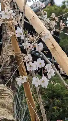 満願寺(京都府)
