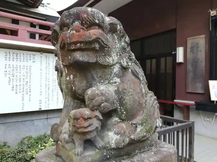 柏神社の狛犬
