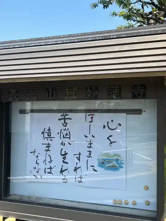 妙蓮寺(神奈川県)