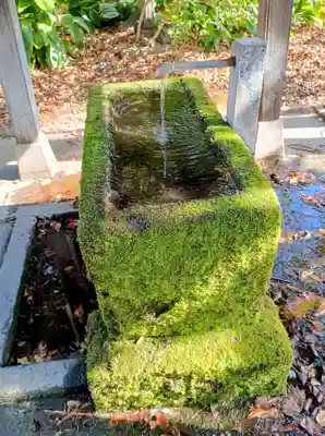 調神社(埼玉県)