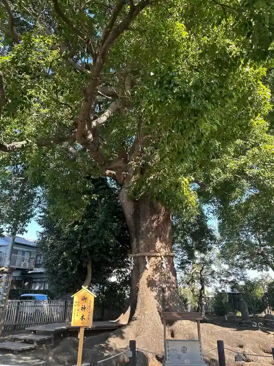 日々神社(神奈川県)