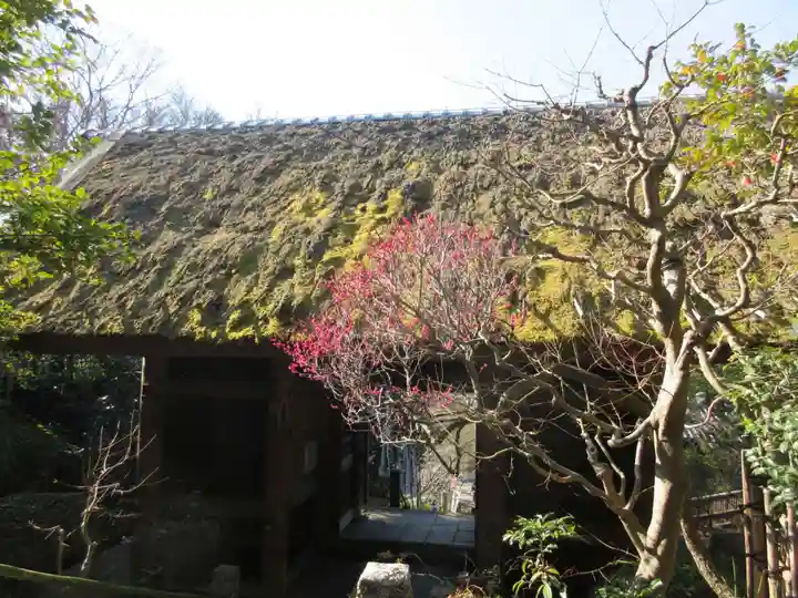 杉本寺の山門・神門