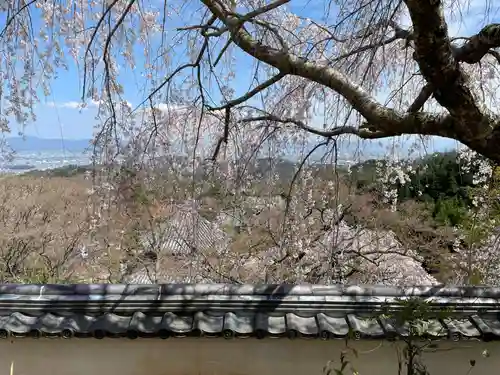 善峯寺(京都府)