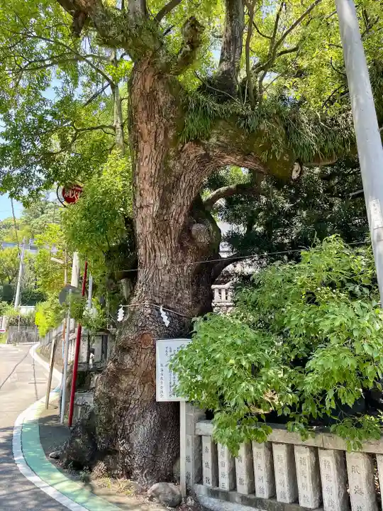 湯前神社(静岡県)