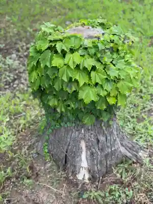 弘前八幡宮(青森県)