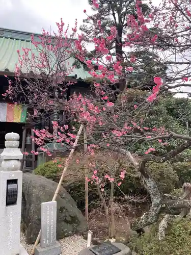 薬師院(神奈川県)