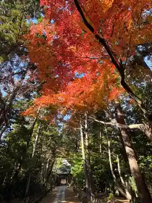寿福寺(神奈川県)
