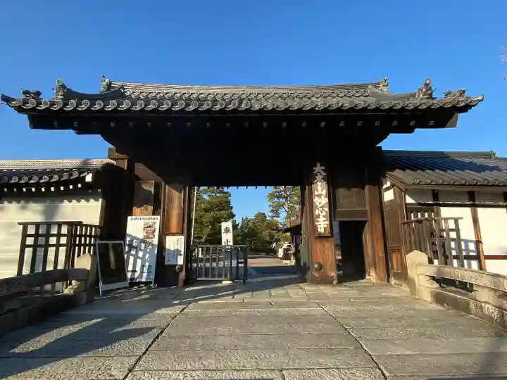 妙心寺(妙心禅寺)(京都府)