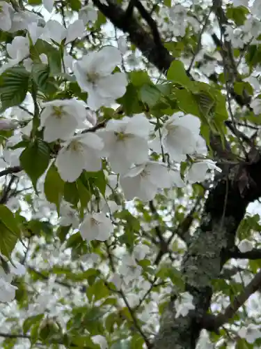 大豊神社御旅所(京都府)