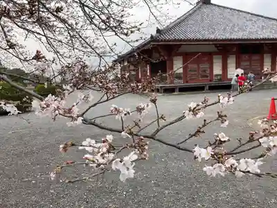 宝持院(兵庫県)