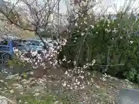 兵庫縣神戸護國神社の{uncategorized: "未分類", other: "その他", undefined: "問題あり", building: "その他建物", grave: "お墓", sacred_gate: "鳥居", guardian: "狛犬", statue: "像", buddha: "仏像", history: "歴史", nature: "自然", garden: "庭園", animal: "動物", pagoda: "塔", temizu: "手水舎", mountain_gate: "山門・神門", sanctuary: "本殿・本堂", subordinate: "末社・摂社", art: "芸術", scenery: "景色", jizo: "地蔵", ema: "絵馬", goshuin: "御朱印", omikuji: "おみくじ", items: "授与品その他", amulet: "お守り", goshuincho: "御朱印帳", eats: "食事", festival: "お祭り", votive_dance: "神楽", shichigosan: "七五三参", wedding: "結婚式", experience: "体験その他", initially: "初詣", around: "周辺", anti_infection: "感染症対策"}