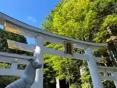 三峯神社(埼玉県)