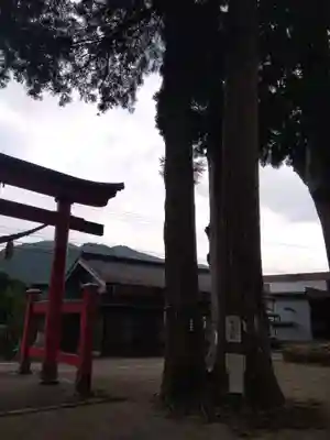 戸隠神社(岐阜県)