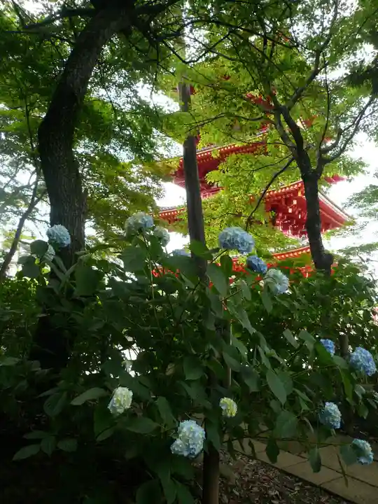 高幡不動尊 金剛寺(東京都)
