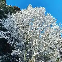 豊景神社の自然