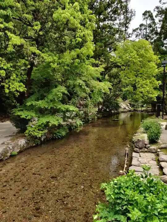 賀茂別雷神社(上賀茂神社)(京都府)