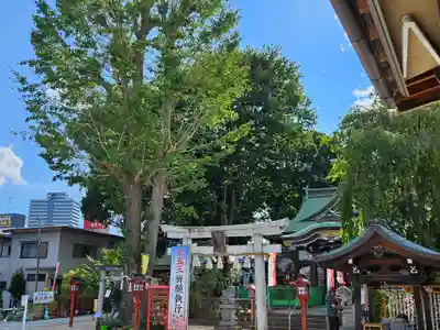 川越八幡宮(埼玉県)