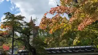 妙満寺(京都府)