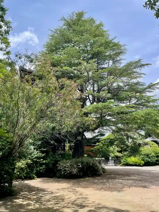 東禅寺(東京都)