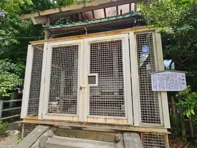 稲毛神社(神奈川県)
