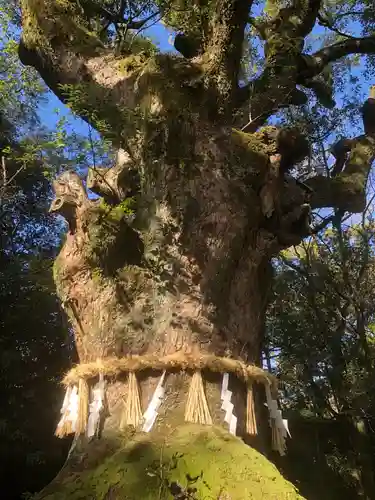 熱田神宮(愛知県)