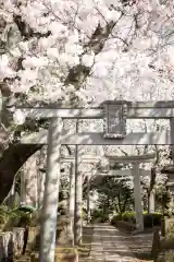 前原御嶽神社(千葉県)