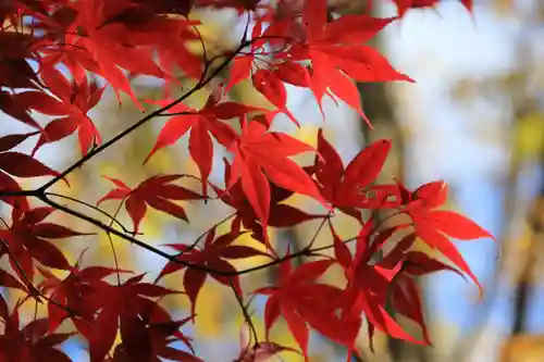 豊景神社の自然