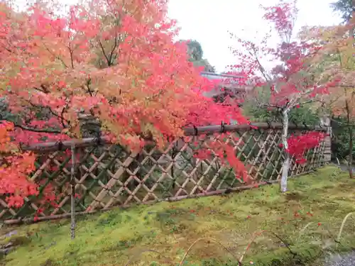 光悦寺の庭園