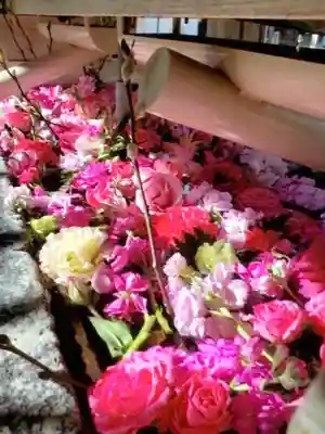 鳩森八幡神社(東京都)