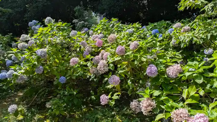 智積院(京都府)