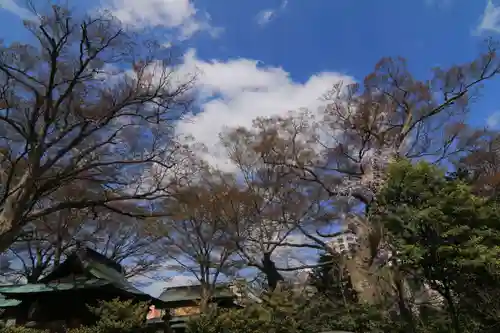 愛宕神社の景色