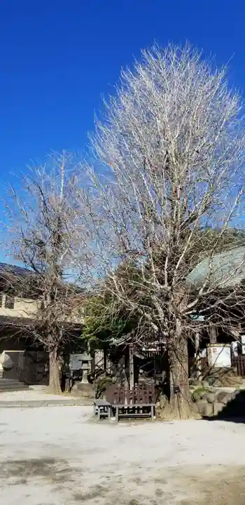 白髭神社の自然