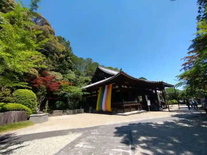 霊山寺の{uncategorized: "未分類", other: "その他", undefined: "問題あり", building: "その他建物", grave: "お墓", sacred_gate: "鳥居", guardian: "狛犬", statue: "像", buddha: "仏像", history: "歴史", nature: "自然", garden: "庭園", animal: "動物", pagoda: "塔", temizu: "手水舎", mountain_gate: "山門・神門", sanctuary: "本殿・本堂", subordinate: "末社・摂社", art: "芸術", scenery: "景色", jizo: "地蔵", ema: "絵馬", goshuin: "御朱印", omikuji: "おみくじ", items: "授与品その他", amulet: "お守り", goshuincho: "御朱印帳", eats: "食事", festival: "お祭り", votive_dance: "神楽", shichigosan: "七五三参", wedding: "結婚式", experience: "体験その他", initially: "初詣", around: "周辺", anti_infection: "感染症対策"}